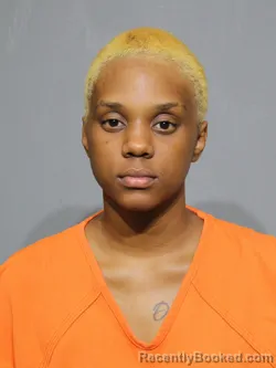 Mugshot of Elijea Jakalya McGill booked in York County, South Carolina on July 15, 2026