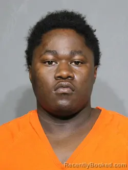 Mugshot of Ja'kahis Ireon Lightner booked in York County, South Carolina on July 15, 2026