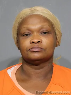 Mugshot of Margaret Louise Smarr booked in York County, South Carolina on July 15, 2026