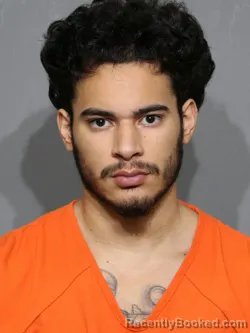 Mugshot of Adalberto Jesus De La Cruz booked in York County, South Carolina on July 15, 2026