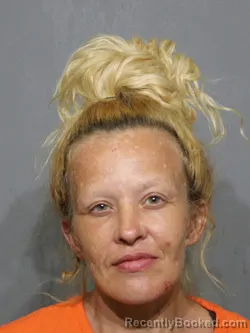 Mugshot of Amy Michelle Burnette booked in York County, South Carolina on July 15, 2026