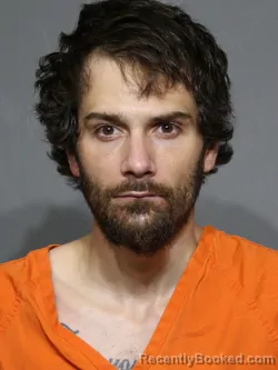 Mugshot of Anthony Steven Gregory McManus booked in York County, South Carolina on July 15, 2026