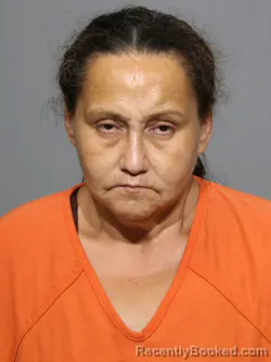 Mugshot of Desiree Diana Banks booked in York County, South Carolina on July 16, 2026