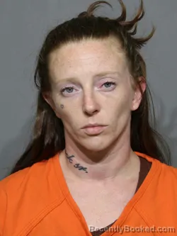Mugshot of Ashley Tyler Branham booked in York County, South Carolina on August 5, 2026
