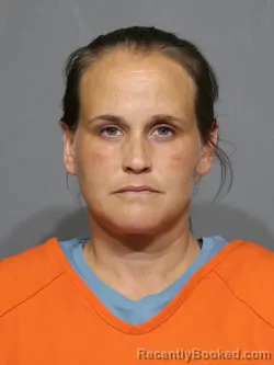Mugshot of Michelle Elizabeth Chamberlain booked in York County, South Carolina on August 5, 2026