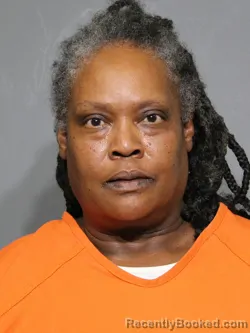 Mugshot of Tisha Lachele Ellison booked in York County, South Carolina on August 6, 2026
