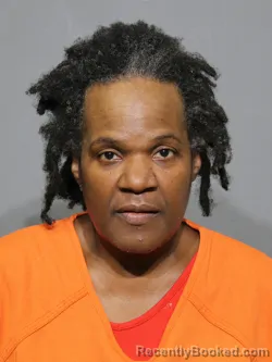 Mugshot of Hattie C Mccrorey booked in York County, South Carolina on August 16, 2026