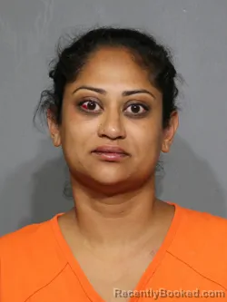 Mugshot of Roma Mahesh Patel booked in York County, South Carolina on August 17, 2026
