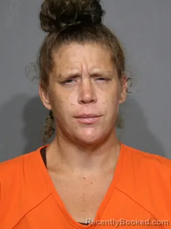 Mugshot of Patricia Alleen Mcdonald booked in York County, South Carolina on August 18, 2026