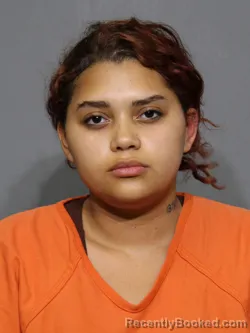 Mugshot of Yariliz Marielsa Pacheco Crespo booked in York County, South Carolina on August 18, 2026