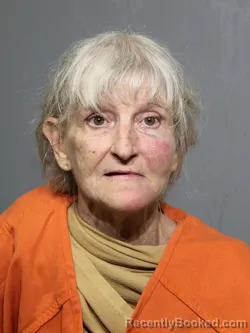 Mugshot of Wendi Ann Grose booked in York County, South Carolina on August 19, 2026
