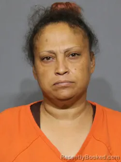Mugshot of Rose Ann Carter booked in York County, South Carolina on August 19, 2026