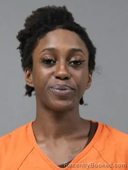 Mugshot of Leah Anzoa Henry booked in York County, South Carolina on August 19, 2026