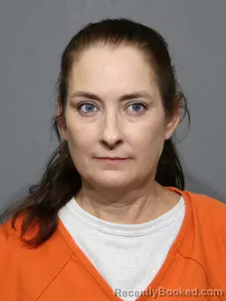Mugshot of Tiffany Elkins Vance booked in York County, South Carolina on August 21, 2026