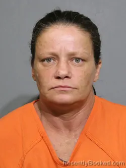 Mugshot of Natasha Leah Ledford booked in York County, South Carolina on August 23, 2026