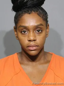 Mugshot of Breah Nicole Nelson booked in York County, South Carolina on August 23, 2026