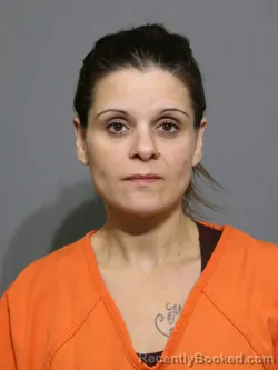 Mugshot of Stephanie Jean Hollins booked in York County, South Carolina on August 24, 2026