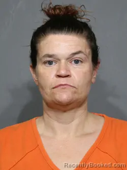 Mugshot of Tonya Denise Hinson booked in York County, South Carolina on August 24, 2026