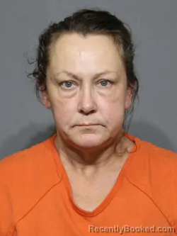 Mugshot of Rebecca Cathey Lambert booked in York County, South Carolina on August 25, 2026