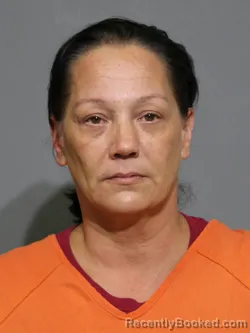 Mugshot of Sarah Lee Williams booked in York County, South Carolina on August 27, 2026