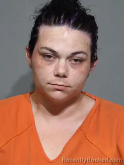 Mugshot of Breanna Kathleen Bryson booked in York County, South Carolina on August 27, 2026