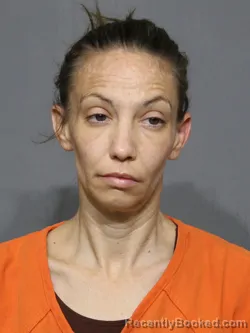 Mugshot of Ashlee Suzanne Faile booked in York County, South Carolina on August 28, 2026
