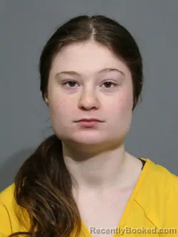Mugshot of Lyndsey Avigail Martinson booked in York County, South Carolina on August 28, 2026