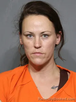 Mugshot of Brooke Elizabeth Rogers booked in York County, South Carolina on August 28, 2026