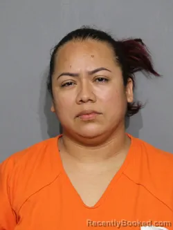 Mugshot of Katy Lilibeth Batres Amador booked in York County, South Carolina on August 29, 2026