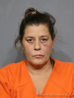 Mugshot of Christie Filomenia Johnson Marinelli booked in York County, South Carolina on August 29, 2026