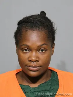 Mugshot of Jequita Lyvette Roseboro booked in York County, South Carolina on August 30, 2026