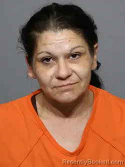Mugshot of Kristen Michelle Rhyne booked in York County, South Carolina on August 31, 2026