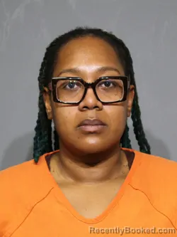 Mugshot of Denise Leatrice Caudle booked in York County, South Carolina on August 31, 2026