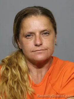Mugshot of Jennifer Lynn Gray booked in York County, South Carolina on September 1, 2026