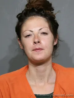 Mugshot of Morgan Ashby Patterson booked in York County, South Carolina on September 1, 2026