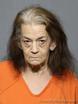 Mugshot of Marsha Ann Moore booked in York County, South Carolina on September 2, 2026