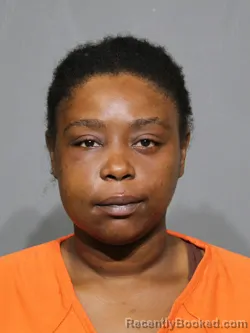 Mugshot of Laquandria Sharice Fourney booked in York County, South Carolina on September 3, 2026