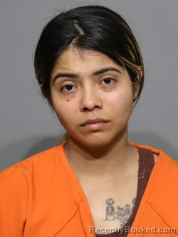 Mugshot of Kendy Aracely Rios Sagastume booked in York County, South Carolina on September 4, 2026