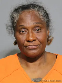 Mugshot of Kishinda Joy Meza booked in York County, South Carolina on September 5, 2026