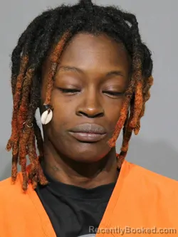Mugshot of Deshala Monique Lanier booked in York County, South Carolina on September 7, 2026