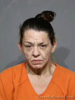 Mugshot of Bridgett Nicole Harden booked in York County, South Carolina on September 8, 2026