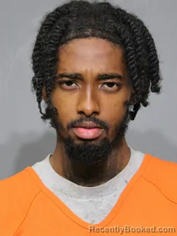 Mugshot of Jaquest Jaden Alexander Mcleod booked in York County, South Carolina on September 10, 2026