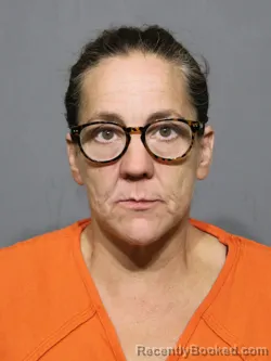 Mugshot of Tonya Lynn Young booked in York County, South Carolina on September 10, 2026