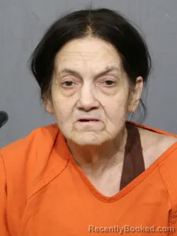 Mugshot of Pamela Gail Beaman booked in York County, South Carolina on September 11, 2026