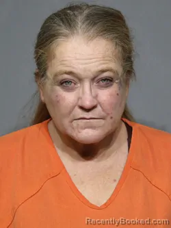 Mugshot of Shannon Elaine Whitlowe booked in York County, South Carolina on September 13, 2026