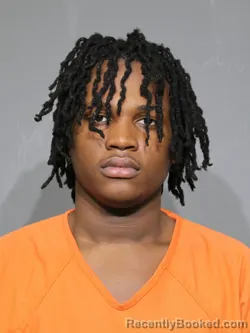 Mugshot of Kamarion Xzavier Shyon Williams booked in York County, South Carolina on September 13, 2026