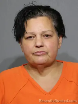 Mugshot of Heather Susan Whisonant booked in York County, South Carolina on September 15, 2026