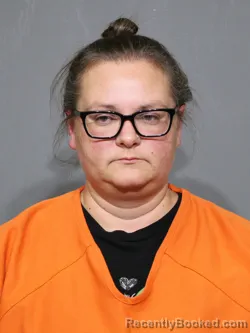 Mugshot of Taea Lynn Homan booked in York County, South Carolina on September 15, 2026