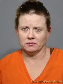Mugshot of Heather Renea Hill booked in York County, South Carolina on October 7, 2026