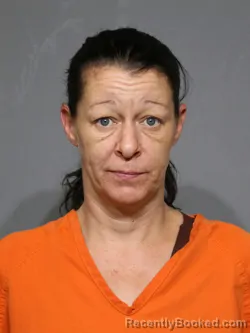 Mugshot of Jennie Marie Allison booked in York County, South Carolina on October 24, 2026